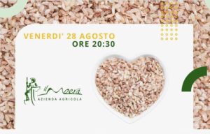 Read more about the article Nel cuore verde della Campania,alla scoperta del riso e di Avella Città d’Arte
