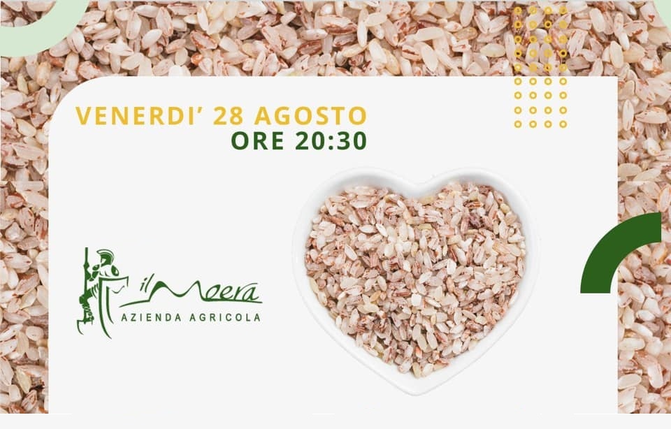 You are currently viewing Nel cuore verde della Campania,alla scoperta del riso e di Avella Città d’Arte